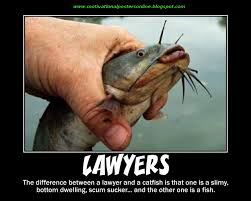 lawyer